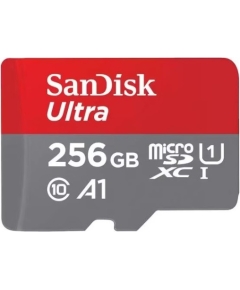 Карта памяти SanDisk microSDXC 256Gb SDSQUNR-256G-GN3MN