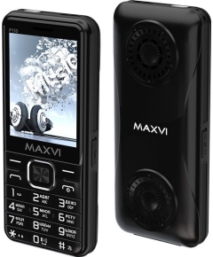 Мобильный телефон Maxvi P110 black