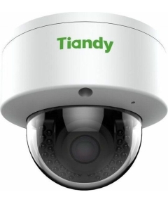 IP камера TIANDY TC-NC24M 2Mp Dome