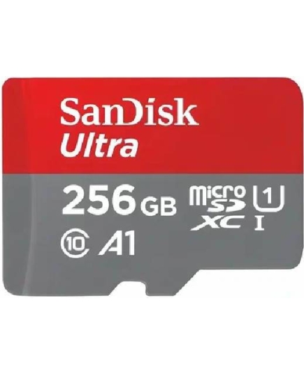 Карта памяти SanDisk microCD 256Gb Class10 UltraUHS-1