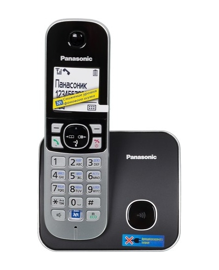 Радиотелефон Dect Panasonic KX-TG6811RUB черный