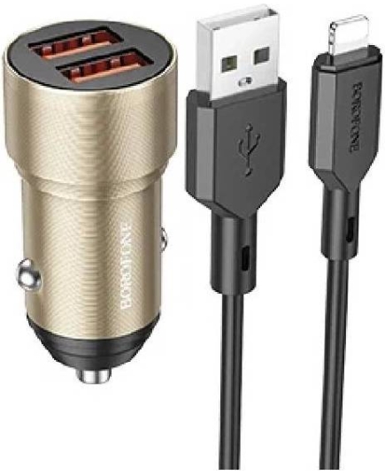 АЗУ Borofone BZ19 2USB 2.4A W12 (Gold)