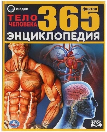 "УМКА". ТЕЛО ЧЕЛОВЕКА. 365 ФАКТОВ. (ЭНЦИКЛОПЕДИЯ А4). ТВ. ПЕРЕПЛЕТ. БУМАГА МЕЛ.