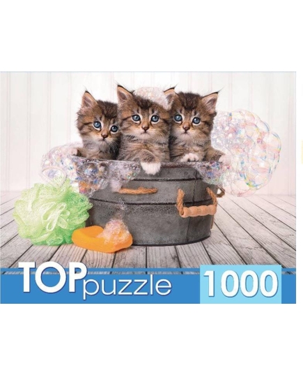 TOPpuzzle. ПАЗЛЫ 1000 элементов. ШТТП1000-7182 Три голубоглазых котёнка